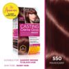 L'Oreal Paris Casting Creme Gloss Hair Color, Mahogany 550