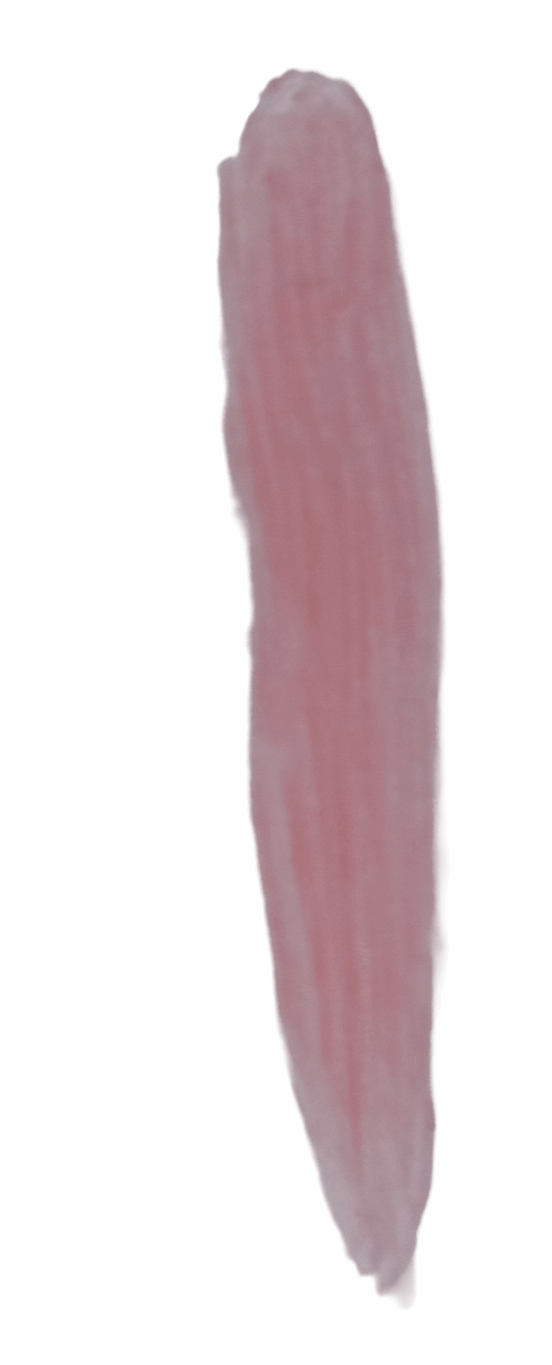 Sedell Paris Lip Gloss - Image 3