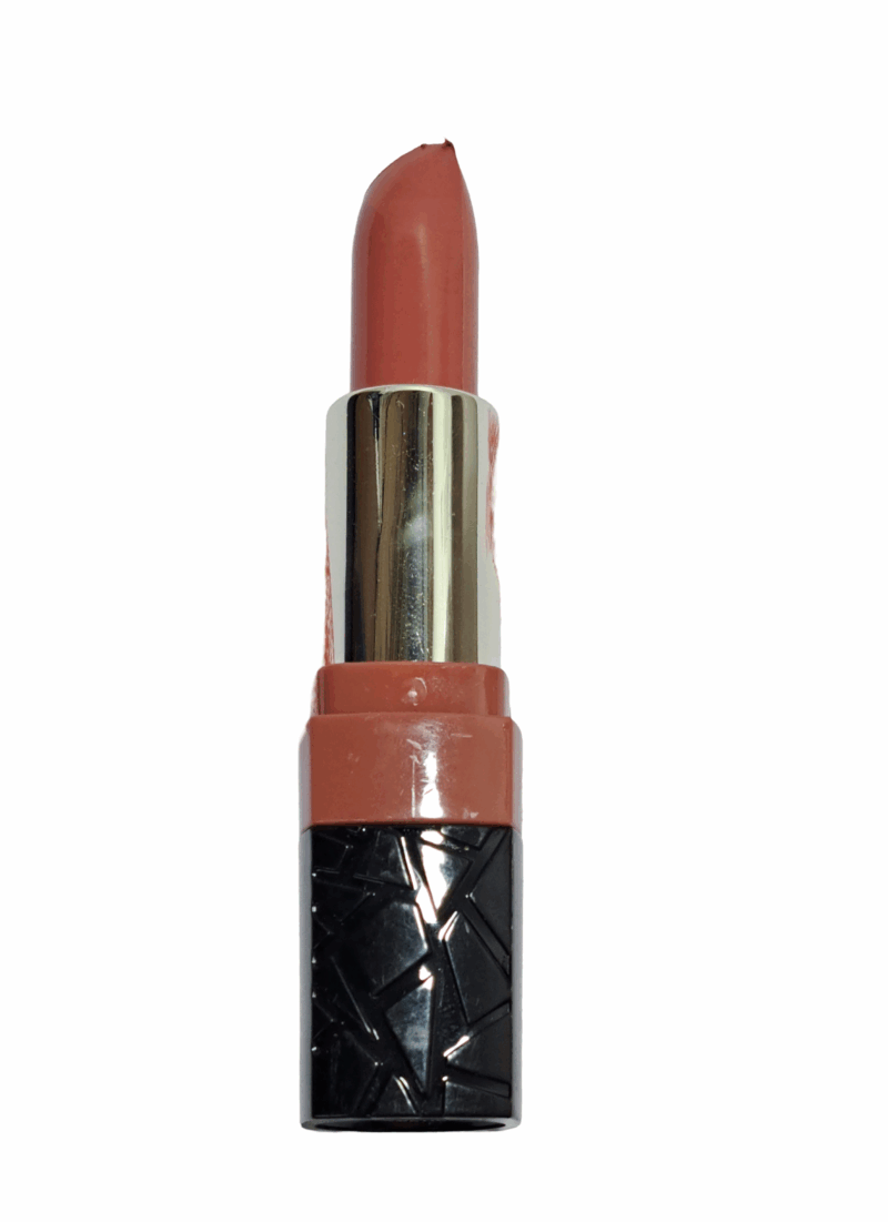 Sedell Paris Nutrishine rouge flamboyant Long Lasting Matte Cream Lipstick 3.8g - Image 2