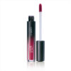 Lakme Absolute Sheer Lip Mousse 205 Mauve Mischief- 4..6g