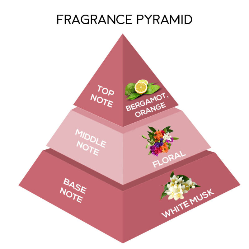 Jaquline USA Hawaii Amor EDP 100ml - Image 5
