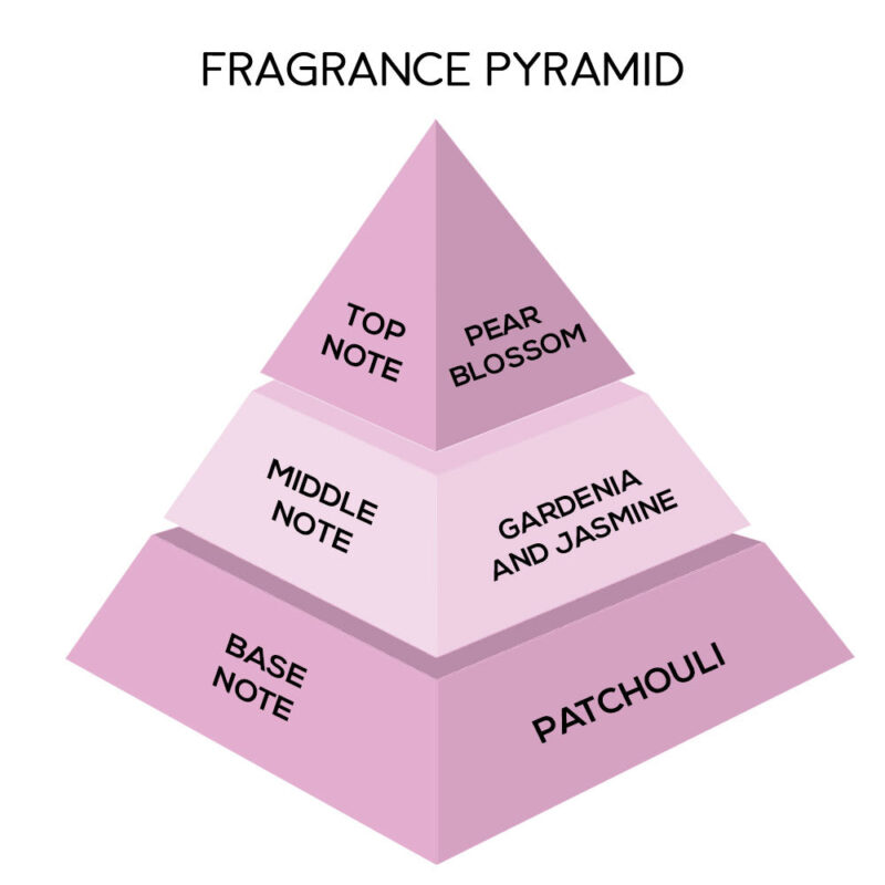 London Notes EDP 100ml Pleaser - Image 4