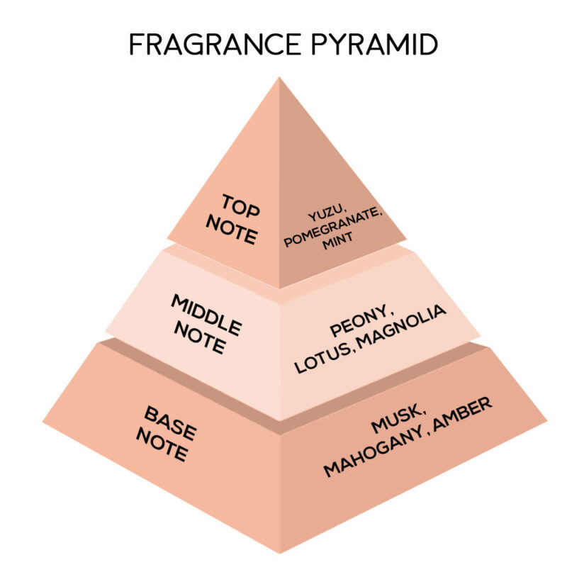 London Notes EDP 100ml Muse - Image 4