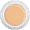KRYOLAN DERMA COLOR CAMOUFLAGE CREAM D4 - 4GM