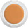KRYOLAN DERMA COLOR CAMOUFLAGE CREAM DFD - 4GM