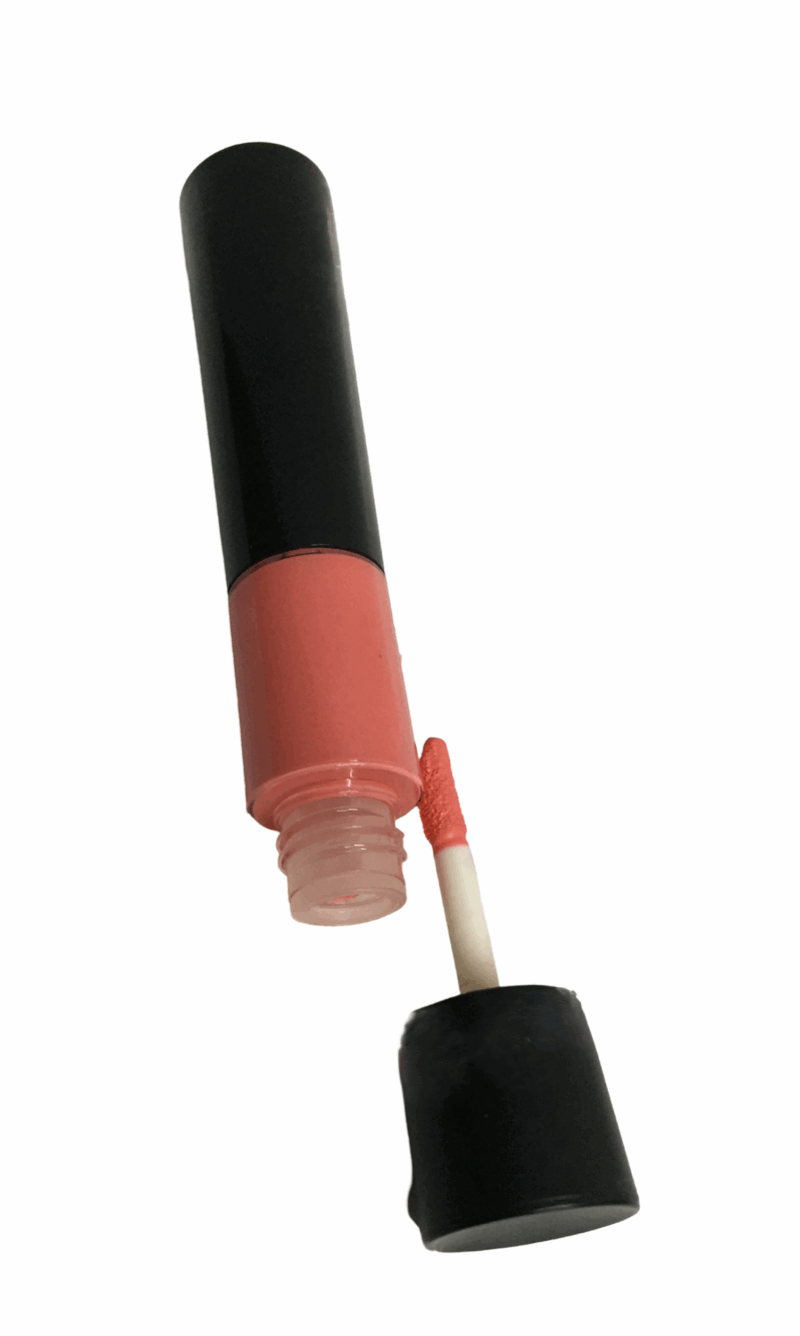 THE NUDES  Duo Matte Finish and Moisturizing Lipstick and Lip Gloss - Image 4