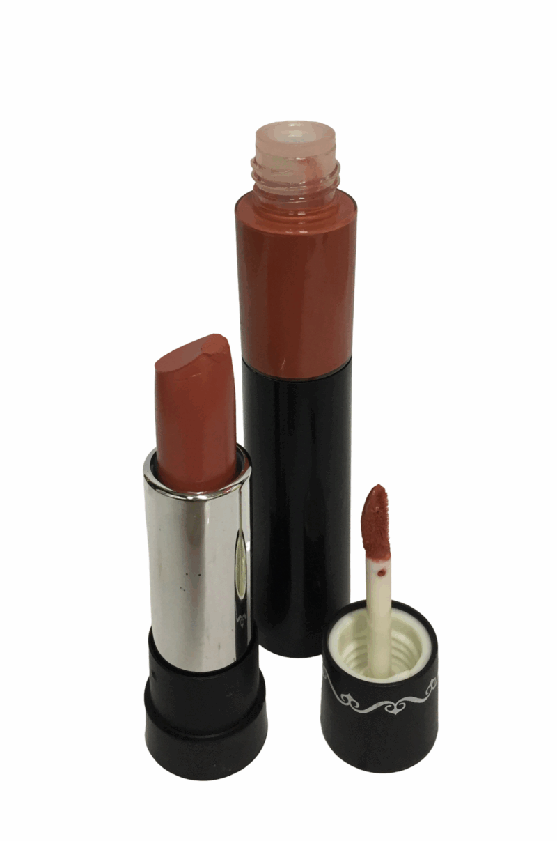 THE NUDES  Duo Matte Finish and Moisturizing Lipstick and Lip Gloss