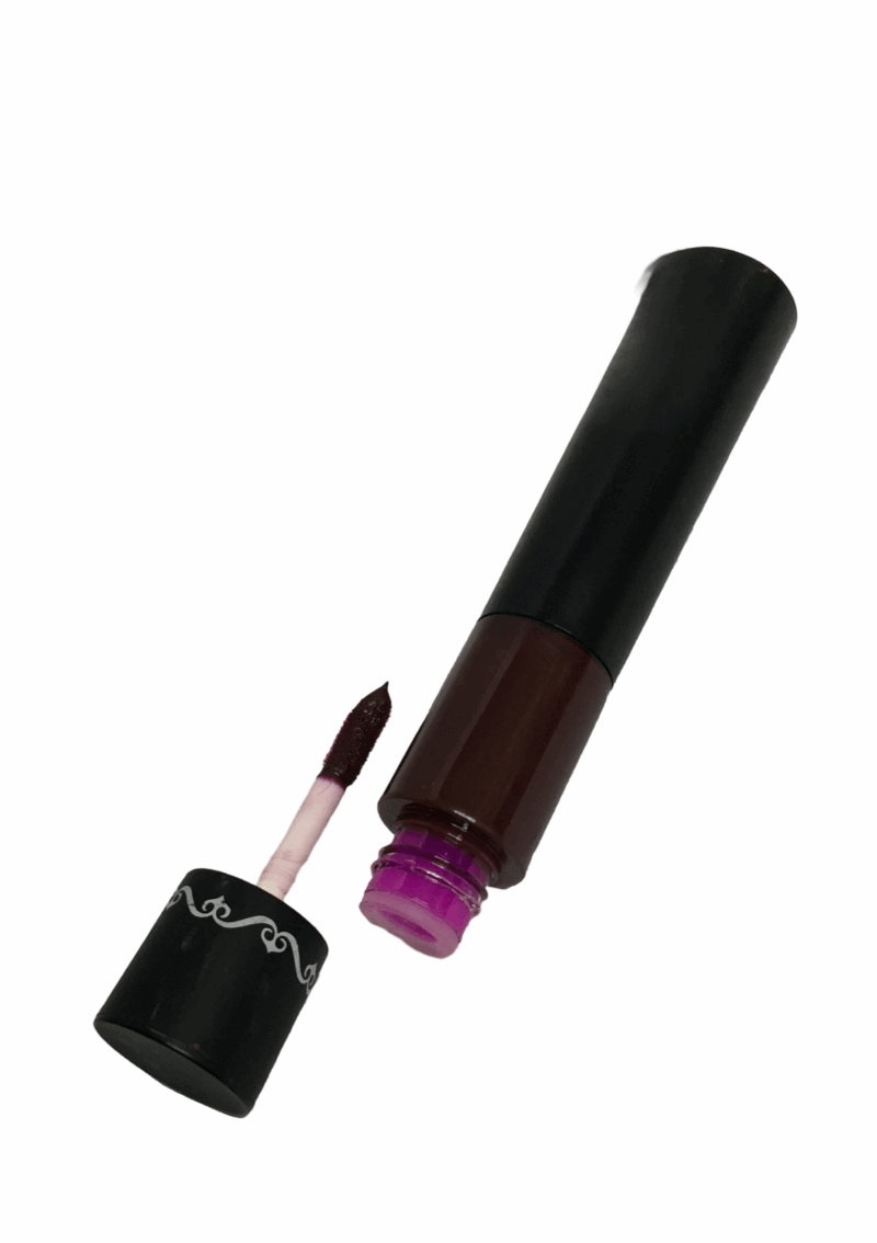 THE NUDES  Duo Matte Finish and Moisturizing Lipstick and Lip Gloss - Image 4