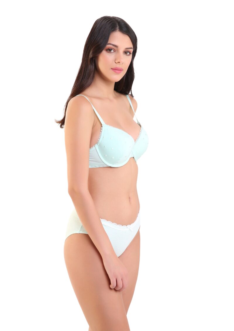 Low Waist Bikini Panty with Lace Panels - Free Size - Image 2