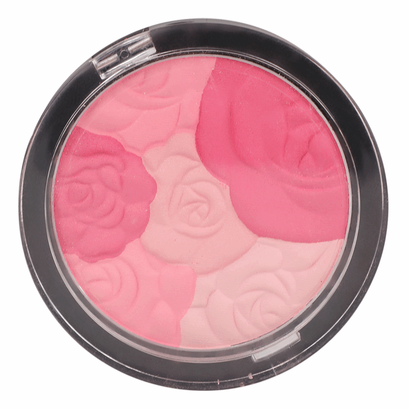 Sedell Professional Multi Blush Powder - 8gm - Image 4