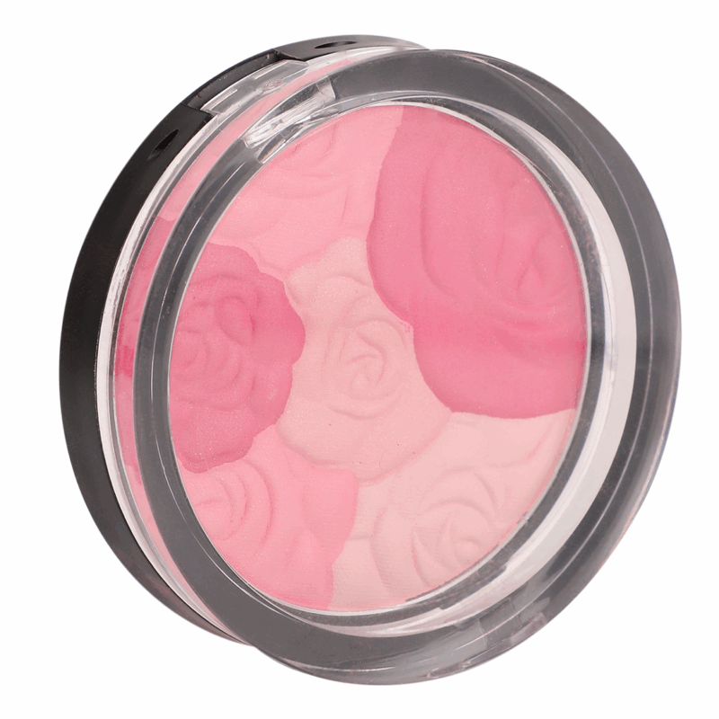 Sedell Professional Multi Blush Powder - 8gm - Image 5